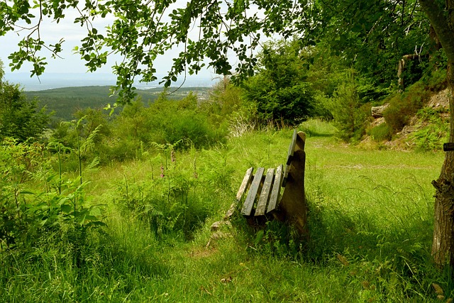 的反击与密 的反击与密