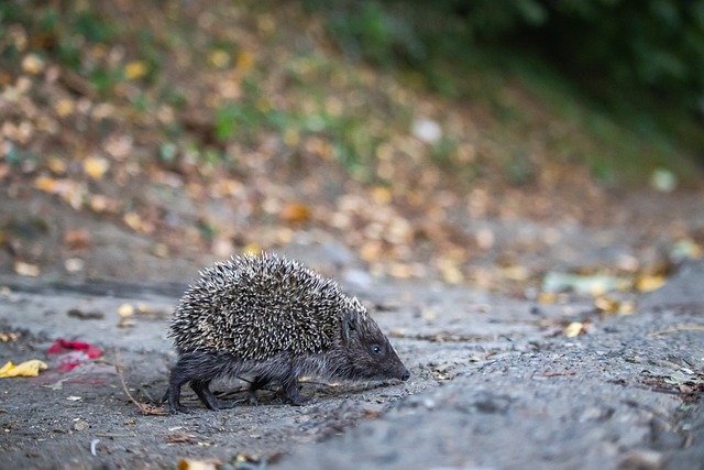 开创新的增 开创新的增