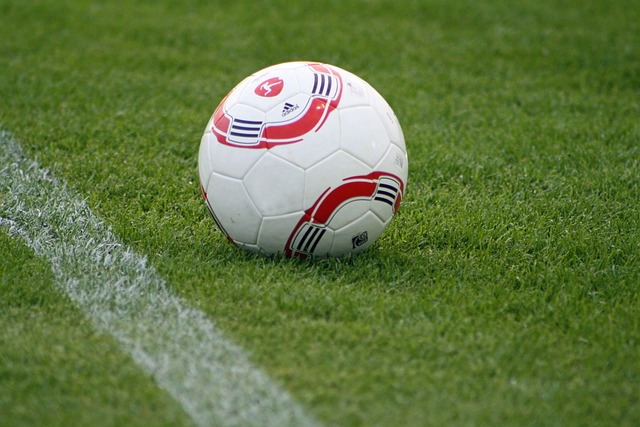 在一个拥有 在一个拥有