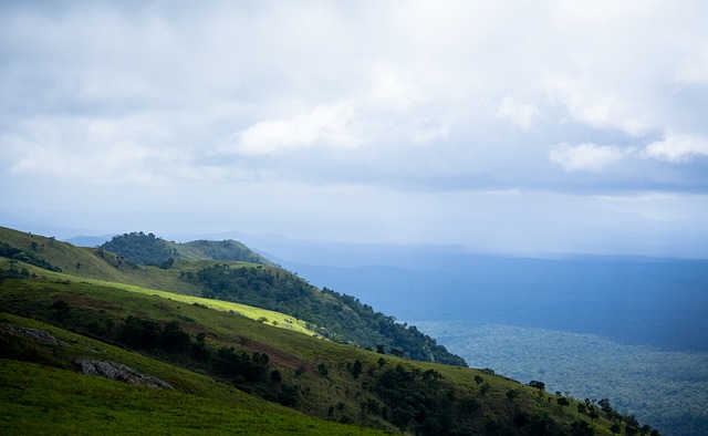 不仅源于他 不仅源于他
