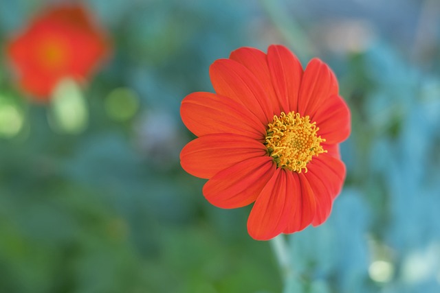 场上表现急 场上表现急