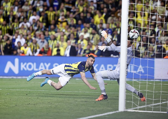 本文将探讨 本文将探讨